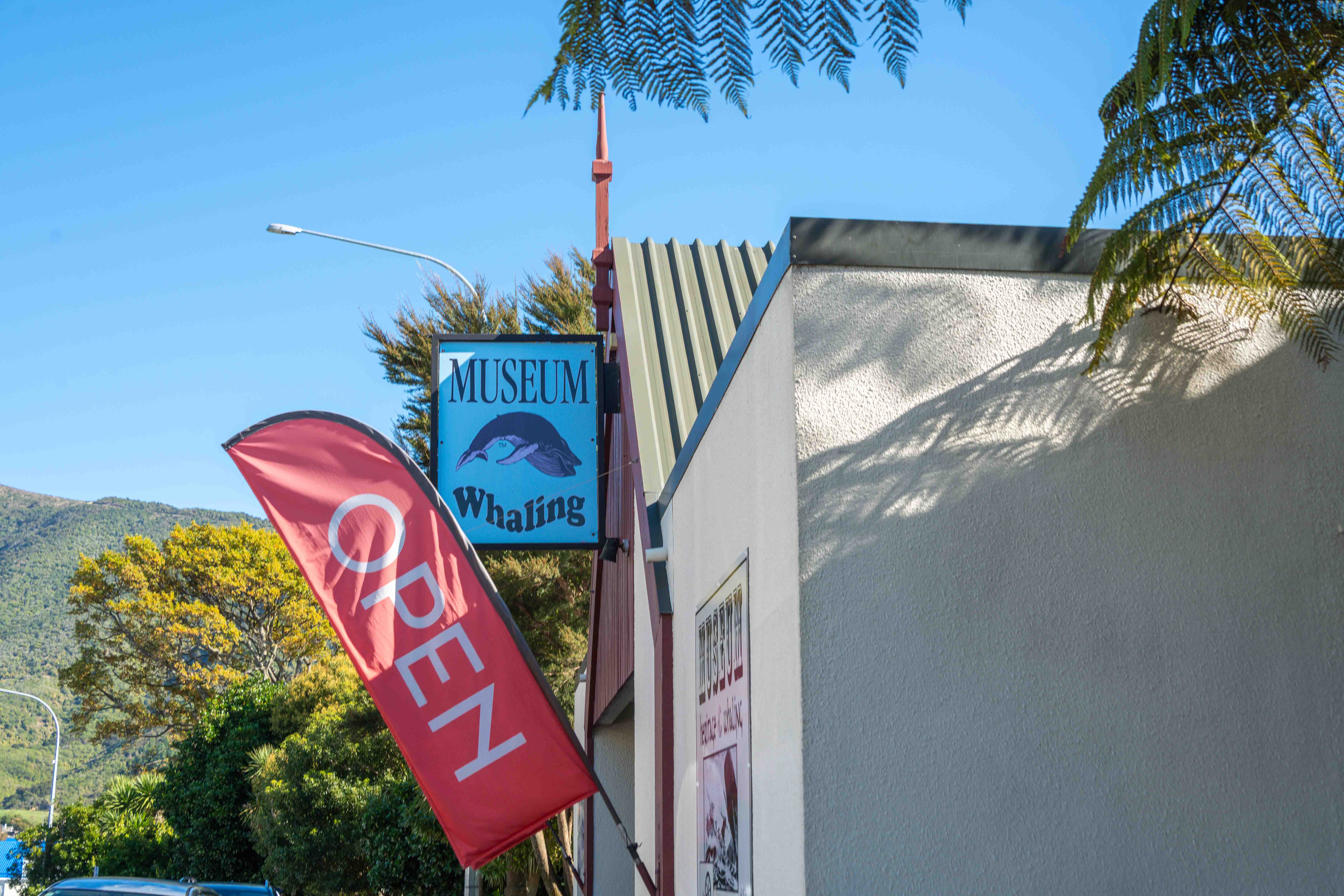 Picton Heritage & Whaling Museum